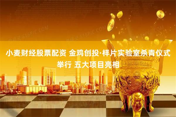 小麦财经股票配资 金鸡创投·样片实验室杀青仪式举行 五大项目亮相